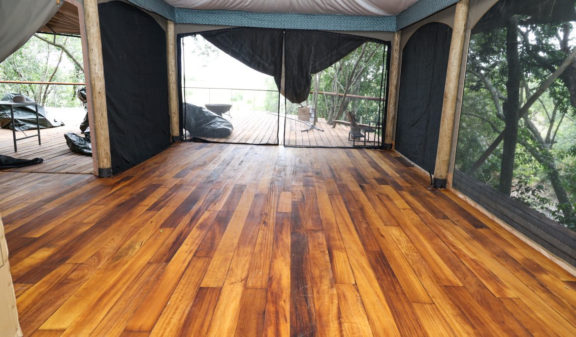 Timber Mvule