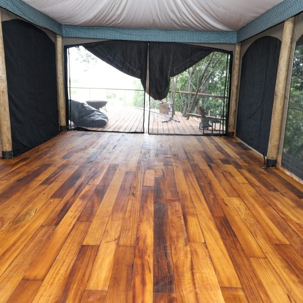 Timber Mvule