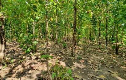 ac749b22-f69e-4dc7-bde4-a681293898ec-1