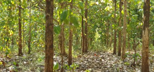 14f06bb0-7070-43c1-93ea-f1d674dd8c0b