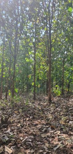 6a34c476-7359-4d93-9260-4837c3171cb4