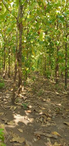 8d14e183-c914-41cf-9641-240f798e8226 1