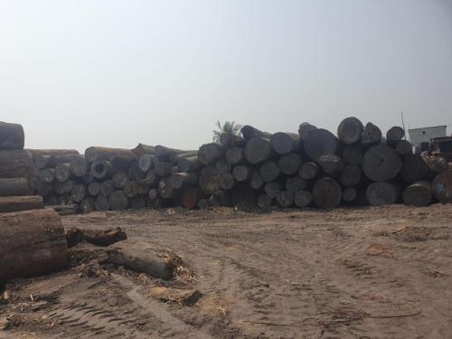 WhatsApp Image 2024-08-15 at 10.52.25_708d3993