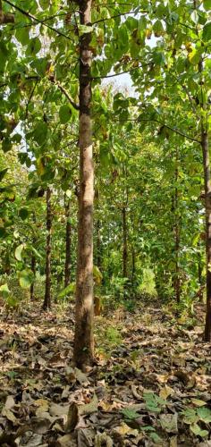 d2ca0beb-d8f3-4cfd-aa7f-f6db1e7d1e40