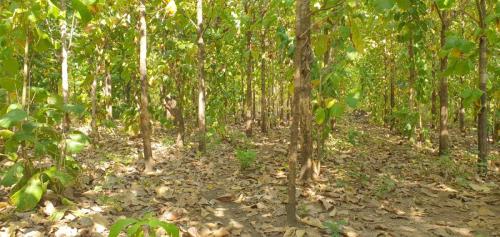 e3b0f262-f0bc-4448-a269-1c20b801588a 1